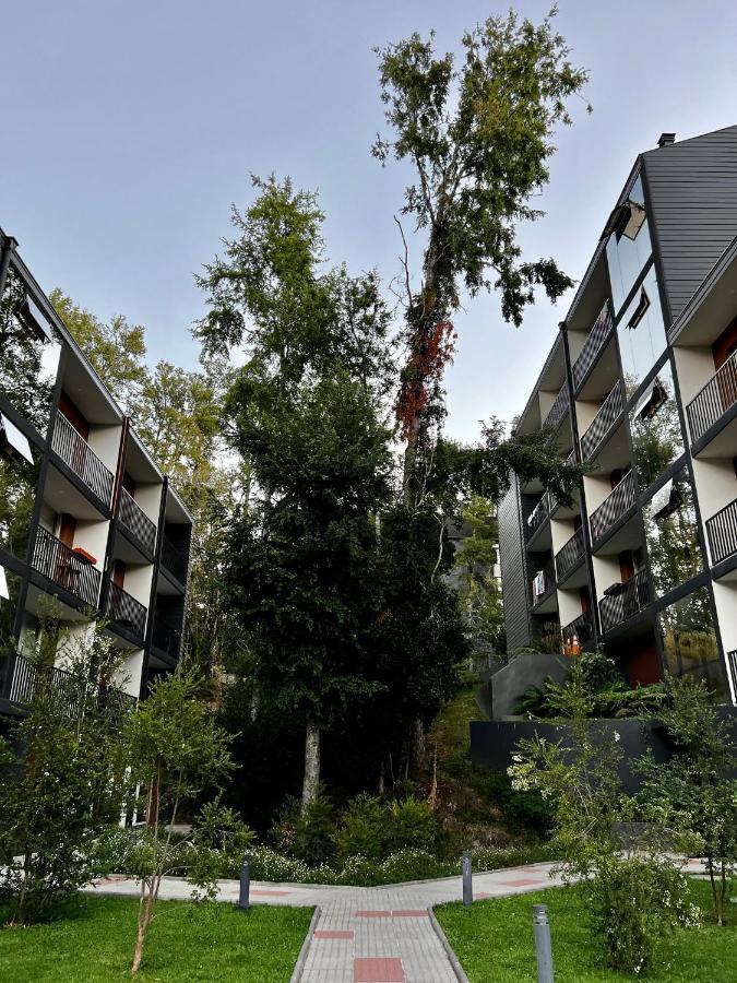 Apartamento Lindo Y Confortable Departamento En